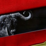 Cape Buffalo in Reverse Scrimshaw on Black Buffalo Horn Cape Buffalo in Reverse Scrimshaw on Black Buffalo Horn (click to enlarge)