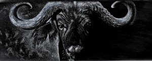 Closeup of Cape Buffalo reverse scrimshaw (click to enlarge)