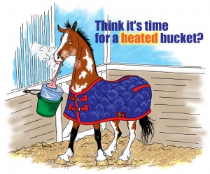 FrostBustr Bucket Horse Cartoon