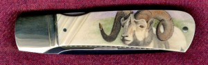 Dall Sheep Ram on Ken Steigerwalt Folder (closed) (click to enlarge)